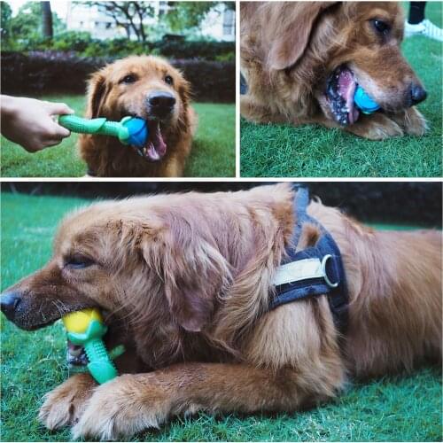 Pet Dog Toy Molar Tooth Cleaner Rose Stick trainging Dog Chew Toy For Outdoor Training Bite Chew Toy Dogs