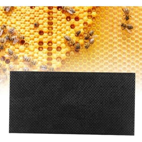 Bee Plastic Beekeeping Frame with Comb Foundation Beekeeping Tool Mating Box Bee