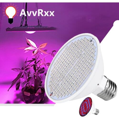 AvvRxx Professional Lighting
