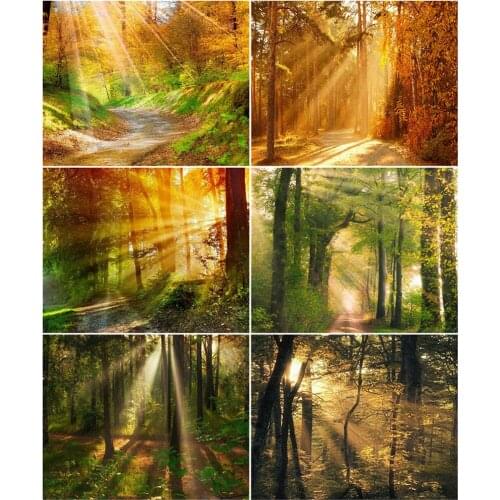 AZQSD DIY 40x50cm Coloring By Numbers Autumn Landscape Home Bedroom Wall Artwork Painting By Numbers Forest Handpainted Gift