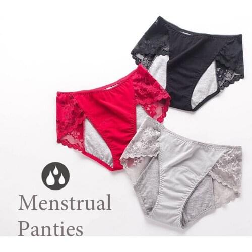 Lady Pink Panties Sexy Transparent Seamless Polyester Material Women Lace Ruffle Briefs Prevent Side Leakage Menstrual Panties