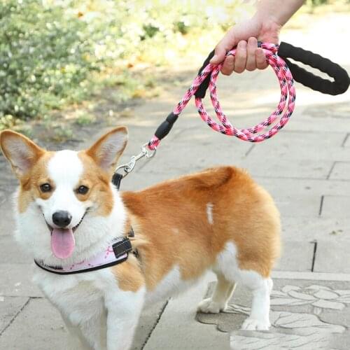 V Shape Dogs Harness Big Dog Collar and Leash Nylon Pet Products French Bull Dog Accessories for Large Dogs Products Top Sellers