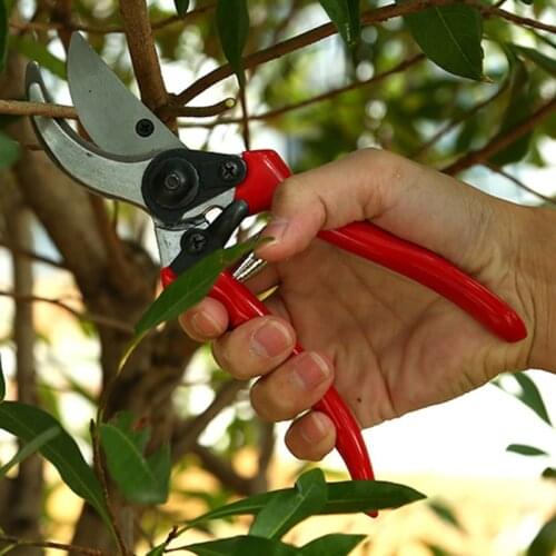Fruit Tree Garden Tools Tree Pruner Shears Scissor Grafting Cutting Tool + 2 Blade Garden Set Cutting Kit TH4 blist package