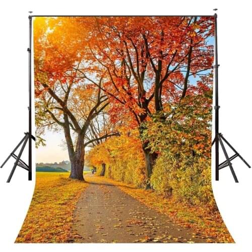 5x7ft Maple Leaf Backdrop Autumn Maple Road Scenery Photography Background and Studio Photography Backdrop Props
