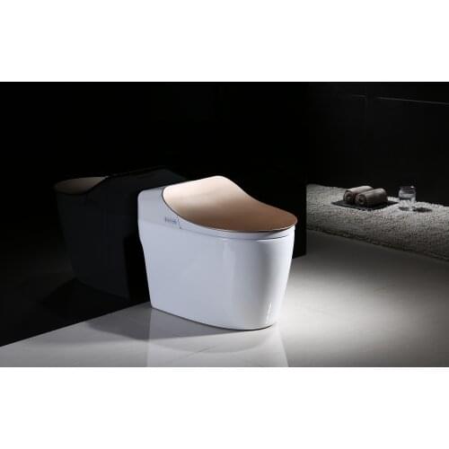 Luxury S-trap Ptrap Intelligent WC Elongated Remote Controlled Smart Bidet Toilet TM6800