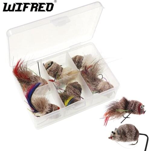 Wifreo 6/10pcs Boxed Flyfishing Bass Bug Fly Floating Surface Mouse Rat Frog Flies for Largemouth size #2 2/0