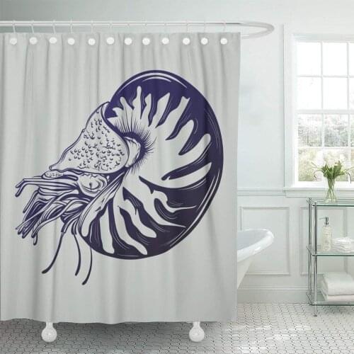 Life of Shellfish Nautilus in Realistic Creative Sketch Shower Curtain Waterproof Polyester Fabric 60 x 72 Inches Set with Hooks