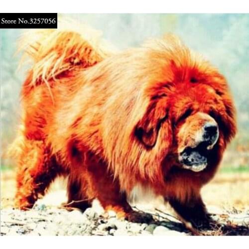 3D DIY Diamond Painting Cross Stitch Golden Dog Pattern Needlework Full Rhinestone Mosaic 5D Diamond Embroidery Home Decoration