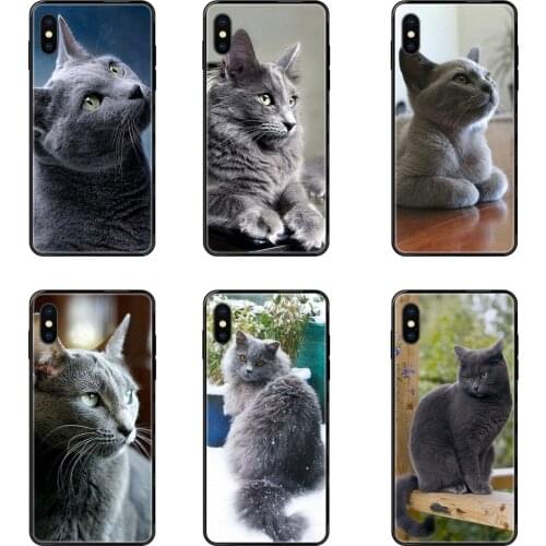 For Redmi 3S 4X 4A 5 5A 6 6A 7 7A 8 8A 8T 9 9A K20 K30 S2 Y2 Pro Plus Ultra Gray Cat Lovely Animal Shopping Black Soft Cool