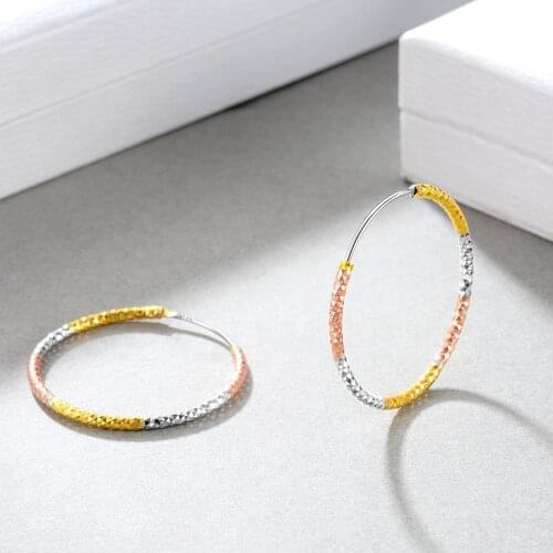 E Jewelry 925 Sterling Silver Hoop Earrings for Women 18K Rose Gold Plated 2cm-6cm Big Loop Earring Fashion Jewelry