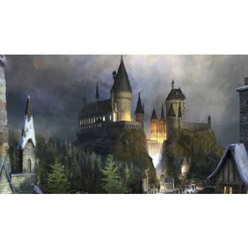 Magic Hogwart school Islands Castle kids background Computer print birthday party backdrop