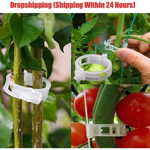 100/200pcs Reusable 25mm Plastic Plant Support Clips clamps For Plants Hanging Vine Garden Greenhouse Vegetables Tomatoes Clips