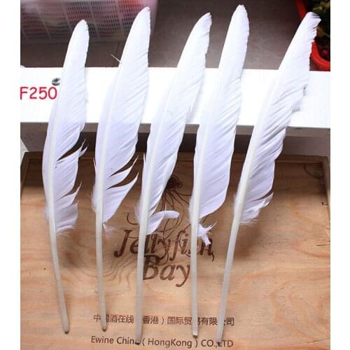 Wholesale 100pcs goose feather humpback 30-35cm/12-14inch /white