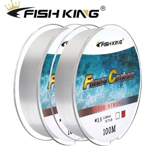 FISH KING 100M Fluorocarbon Coating Fishing Line 4.136LB-34.32LB Carbon Fiber Monofilament Leader Line Carp Fishing Sinking Line