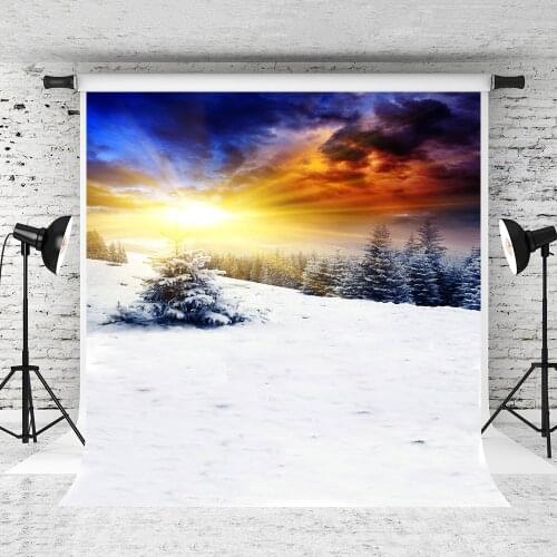 VinylBDS Fantasy Photo Backdrop Cedar Cold Winter Snow Backdrops Photo Backdrops Can Add Words Customize