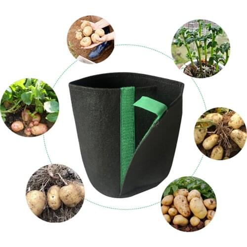 Garden Bag Seedling Pots With Self-Adhesive Sides Reusable For Transplanting Non-woven Fabric Self-adhesive Flowerpot