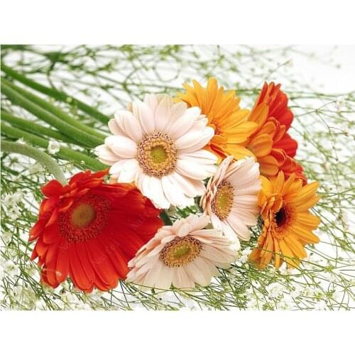 Diamond Painting,3D,Flower,Gerbera,Full,Diamond Embroidery,5D,DIY,Cross Stitch,Diamond Mosaic,Needlework,Wall Decoration,FF1694