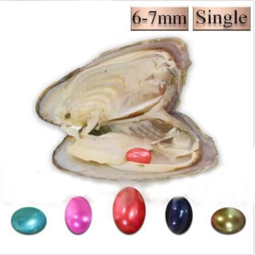 18 Colors Rice Pearls in Freshwater Oysters Wholesale 6-7mm Rice Oval Freshwater Pearl Oyster Shell Vacuum Package 20pcs FP394