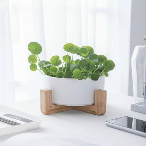 Wooden Frame Combination Succulent Flower Pot, Large-caliber Decorative Ceramic Flower Pot, Non-porous Hydroponic Flower Pot