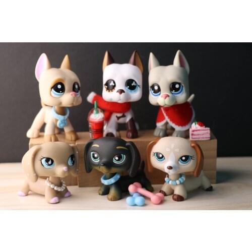 Pets shop Short hair Cat With Magnet 5 Lot With Accessories