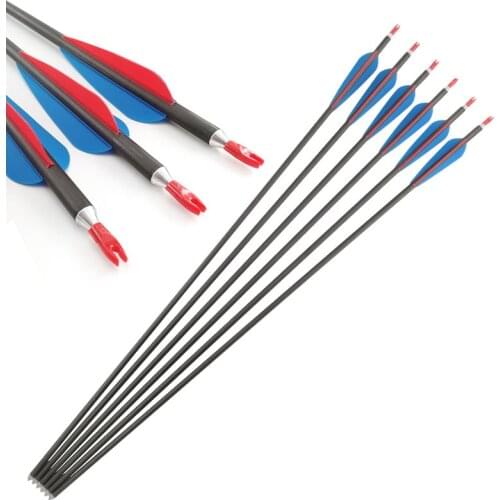 Indoor Archery Spine 300 Carbon Arrows 28/30/33 Inch Shaft OD8.9mm 4 Inch Vanes Points for Compound Recurve Bow Shooting Hunting