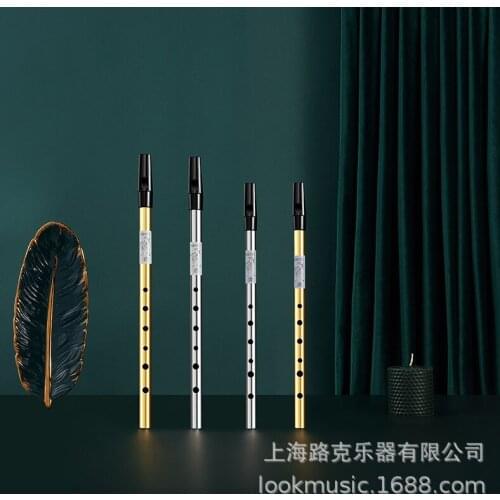 NAOMI Irish whistle beginner entry flageolet C key D tune flute