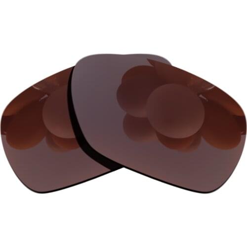 Polarized Sunglasses Replacement Lenses for-Inmate Frame - Brown
