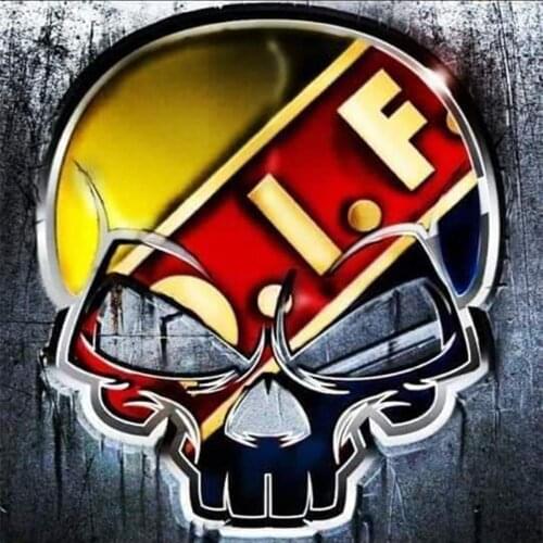 Full Square / Round Drill 5D DIY Diamond Painting "D.I.F Skull skull" Diamond Embroidery Cross Stitch Home Decor Gifts