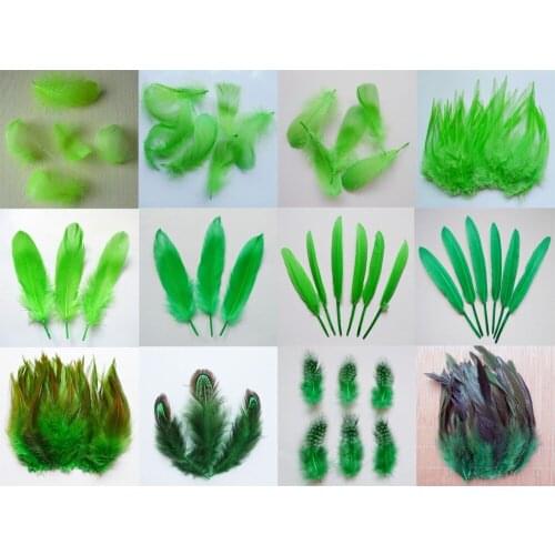 New! 13 kinds 20pcs Green Pheasant tail Chicken feathers Goose Rooster Plumas for Party DIY Craft decoration Ostrich feather