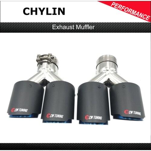 A Pair Car Carbon Matt Muffler Tip Y shape Double exit Universal Blue Stainless Exhaust Pipe Mufflers Multi-size For Ak