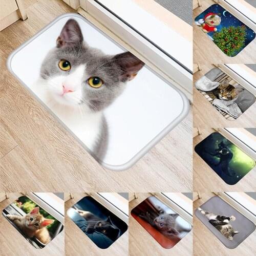 1pcs 40*60cm Cute Cat Pattern Floor Mat Anti-Slip Suede Carpet Doormat indoor Kitchen Bathroom Living Room Door Mat Rug