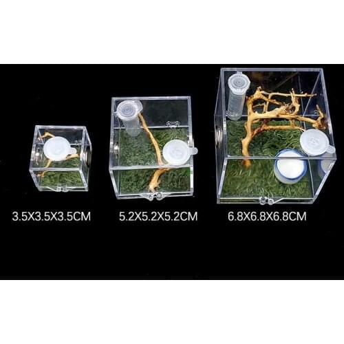 Acrylic Jumping Spider Rearing Box Small Mantis Grasshopper Landscaping Box Bumblebee Florida Spider Insect with Humidifier