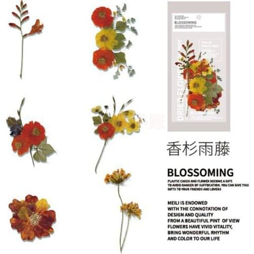 6pcs/pack Vintage plant flowers branch midnight orchid Iris Daisy Fir rain cane stickers DIY planner scrapbooking lable sticker