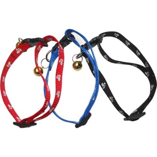 FOCUSIGN Collars, Harnesses And Leashes