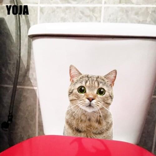 YOJA 17.7×24.8CM Surprised Scottish Cat Funny Toilet Decoration Decals Kids Room Wall Stickers T1-3089