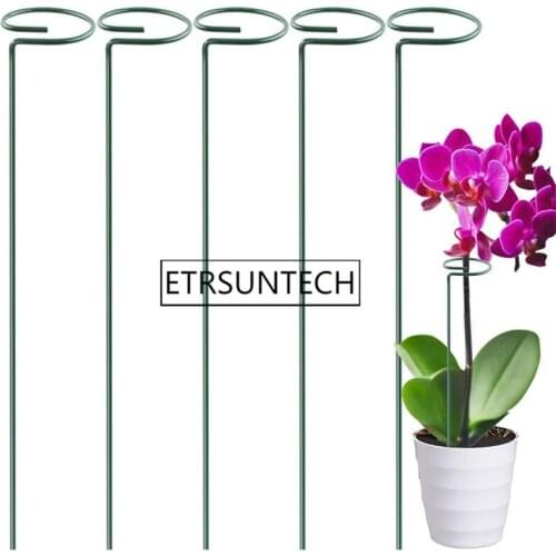 100pcs Plant Support Stand Flowers Support Ring Metal Plant Support Stakes Bonsai Support Backyard Garden Tool
