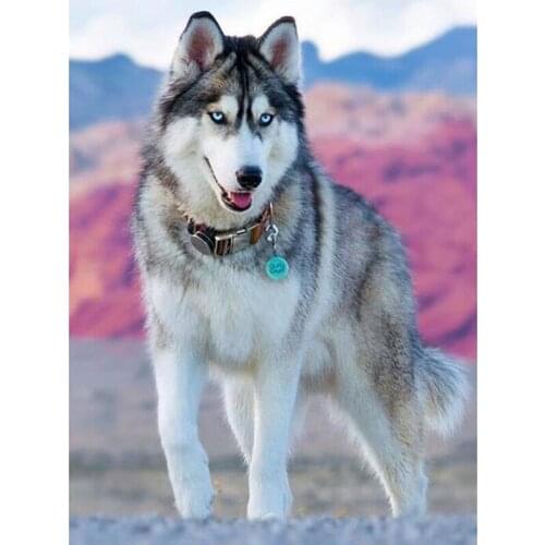 Full Diamond 5D DIY Diamond Painting "Adult Husky" Embroidery Cross Stitch Rhinestone Mosaic Painting Decor Gift KBL