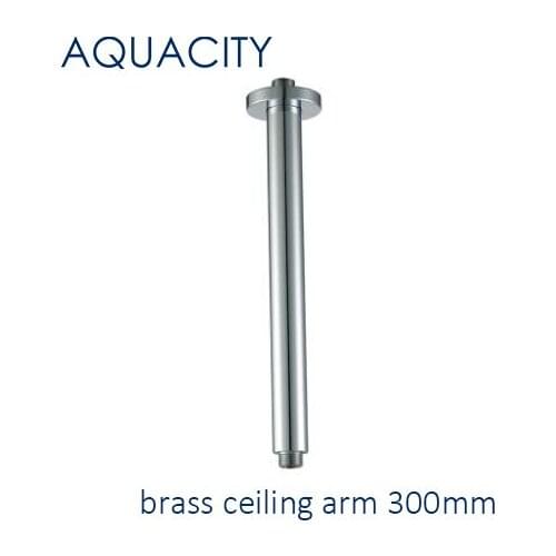 Free Shipping 300MM Round Brass Ceiling Shower Arm Shower Head for Bathroom Concealed Bath and Shower Faucet Chrome Finish