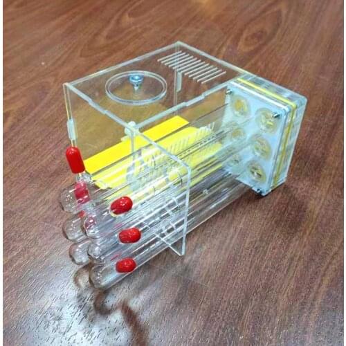 18 Gauge 6 Tube Nest Six Tube Nest Ant Farm Desktop Ornaments Mini Pet Alternative Birthday Gift