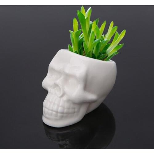 Creative Skull Ceramic Flower Pot Green Succulent Planter Plant Container Decor S03 21 Dropshipping