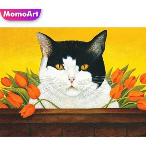 MomoArt Diamond Embroidery Cat Picture Of Rhinestone Sale Diamond Painting Animal Cross Stitch Kits Mosaic Needlework Handicraft