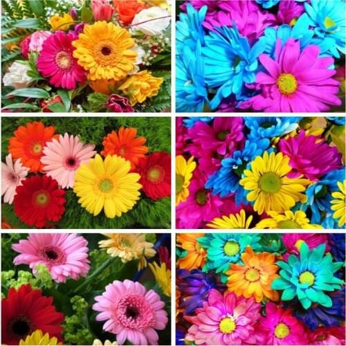 EverShine Diamond Painting Flowers Cross Stitch Diamond Mosaic Chrysanthemum DIY Home Decor Sale Handmade Hobby Gift Art Kits