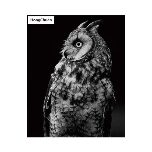 Animal Owl Mural 5D DIY Square/Round Diamond Painting Mosaic Cross Embroidery Handicraft Home Decoration Christmas Gift