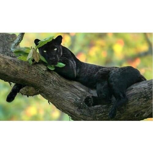 Lovely Black Panther on The Tree Painting on Canvas Wall Pictures for Kids Bedroom Wall Art Posters Prints Cuadros Home Decor