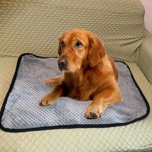 A Reusable Dog Bed Mats Dog Urine Pad Puppy Pee Fast Absorbing Pad Rug for Pet Training In Car Home Bed M/L