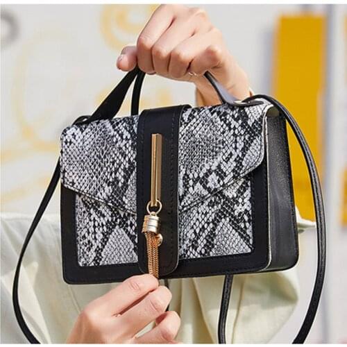Summer Women Bags 2021 New Fashion Gold Tassel Small Square Bag Snake Pattern Contrast Color Shoulder Messenger Crossbody Bag