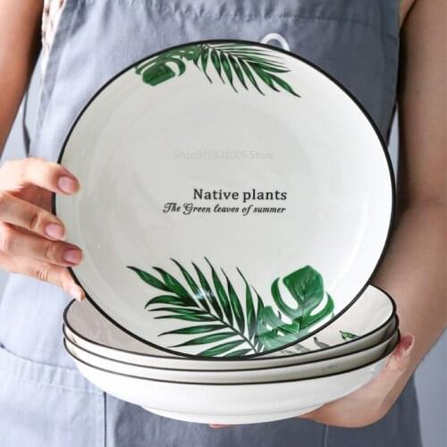 2 ceramic plates Nordic plants Western-style steak dinner domestic fruit plate dishes