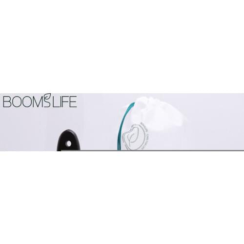 Denman Head Massage Wooden Hair Brush Detangling Hair Brush Airbag Brush With Steel Needle scalp brush hair straightener brush