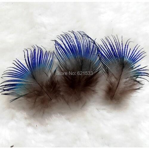 Cheap Small Loose Feathers,200Pieces/Lot! IRIDESCENT BLUE Decoration Accessories,Weddings,2-4cm Long,Plumes