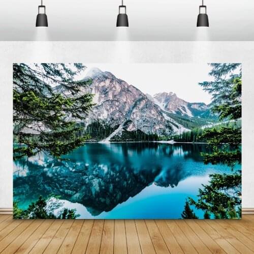 Laeacco Natural Backgrounds Mountain Snow Lake Tree Pine Wallpaper View Photographic Backdrops For Photo Studio